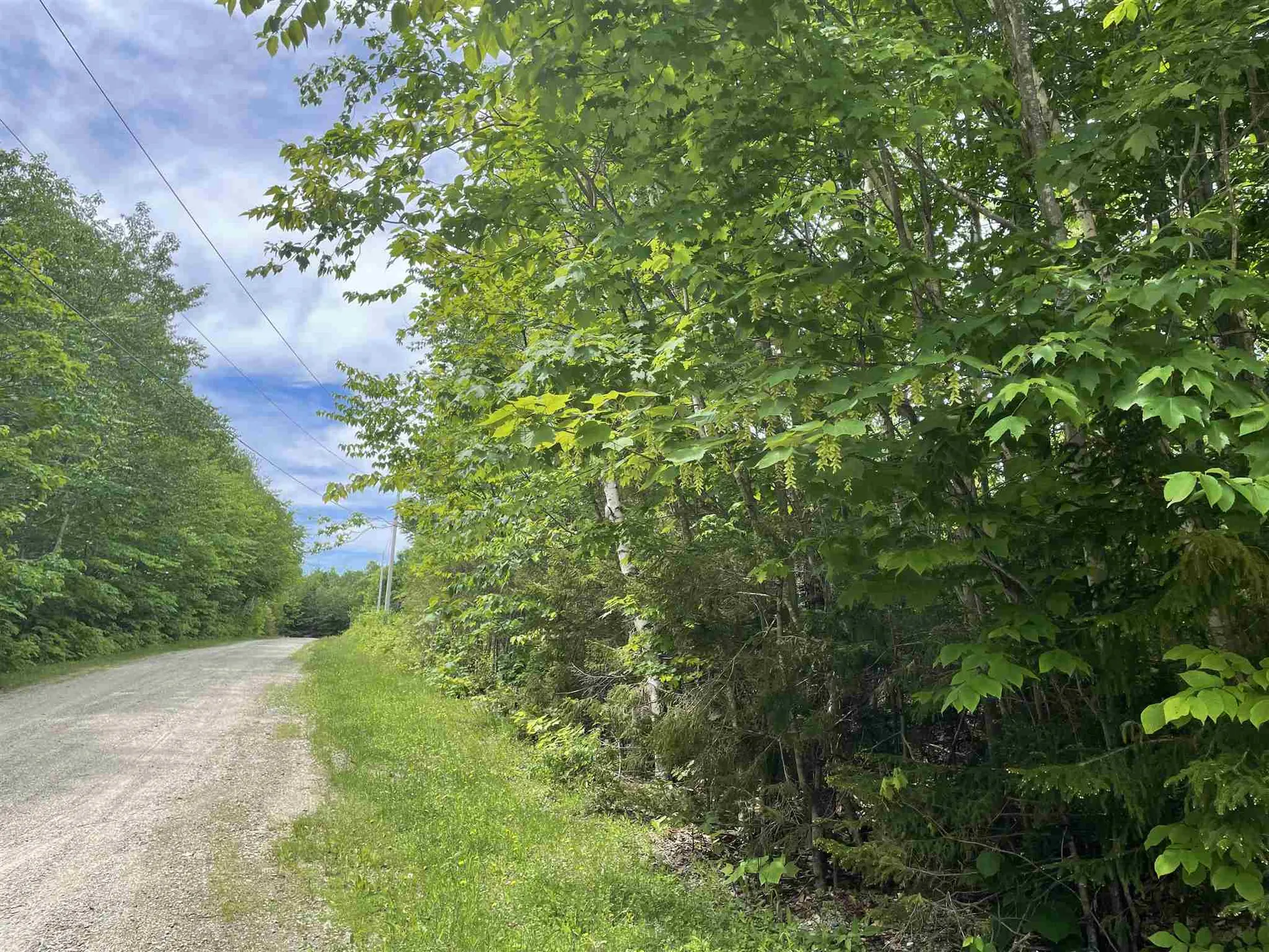 1500 Andover Ridge Road Andover VT 05143