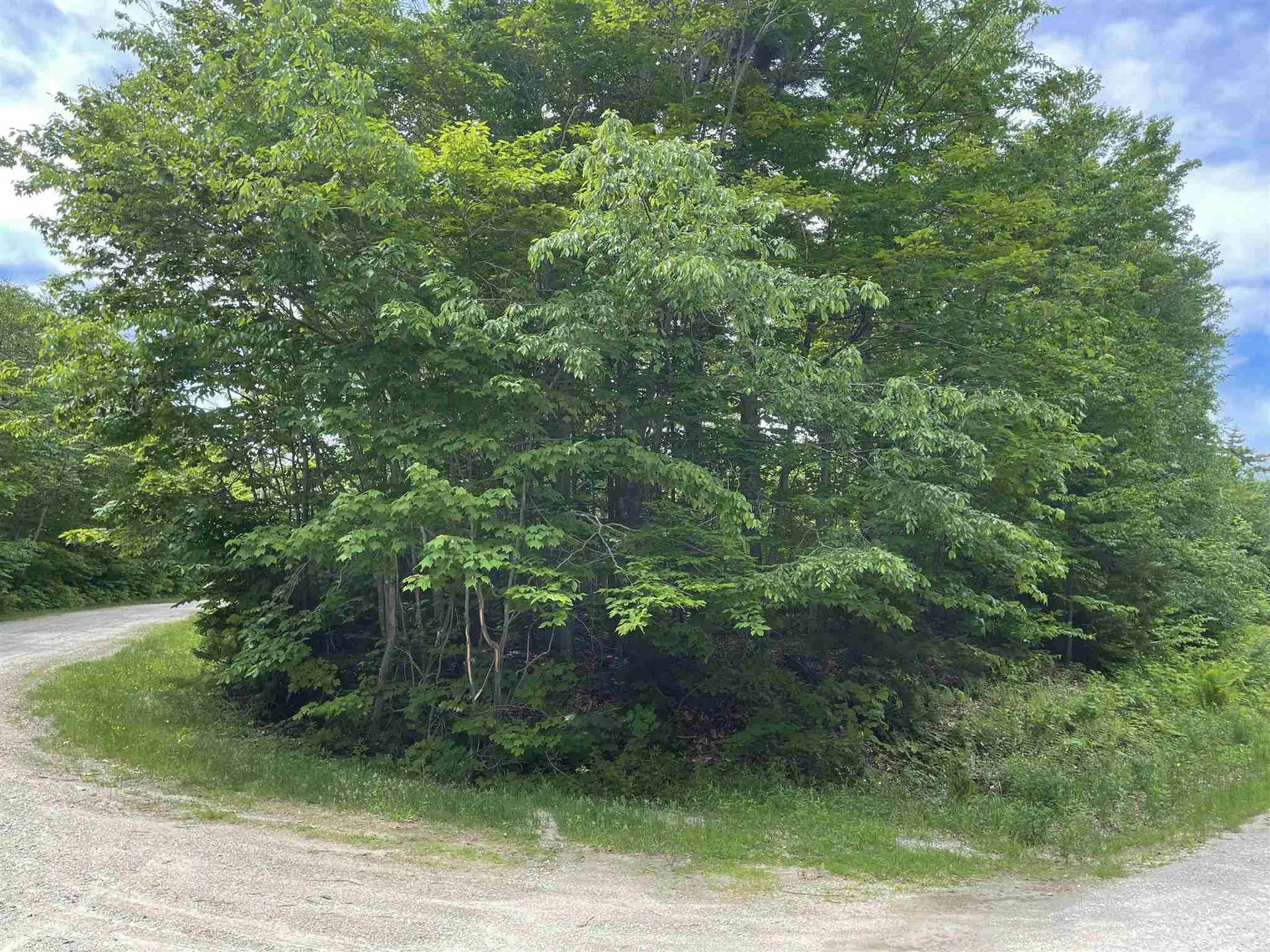 1500 Andover Ridge Road Andover VT 05143