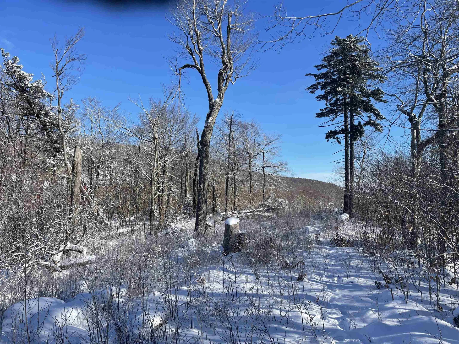 1500 Andover Ridge Road Andover VT 05143