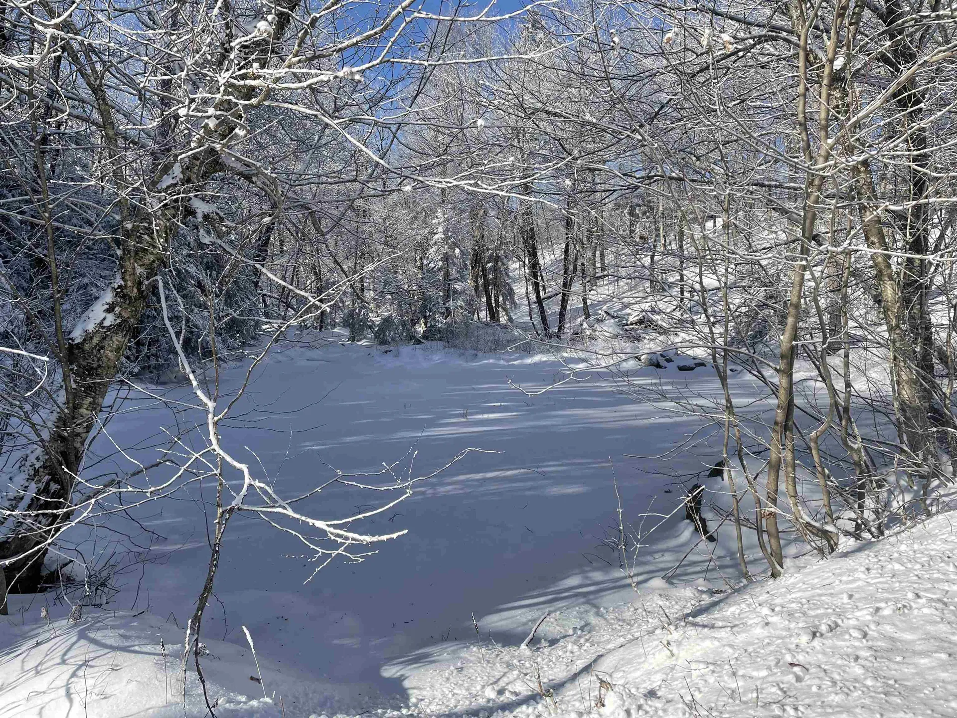 1500 Andover Ridge Road Andover VT 05143