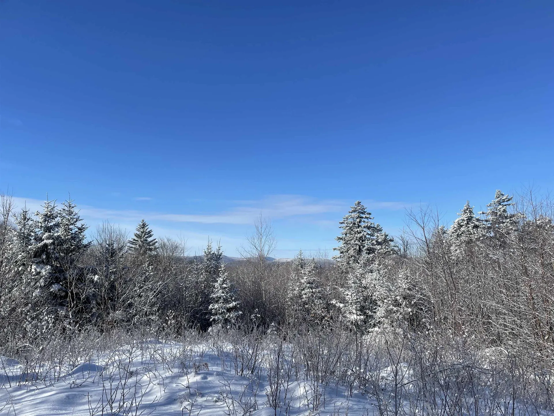 1500 Andover Ridge Road Andover VT 05143