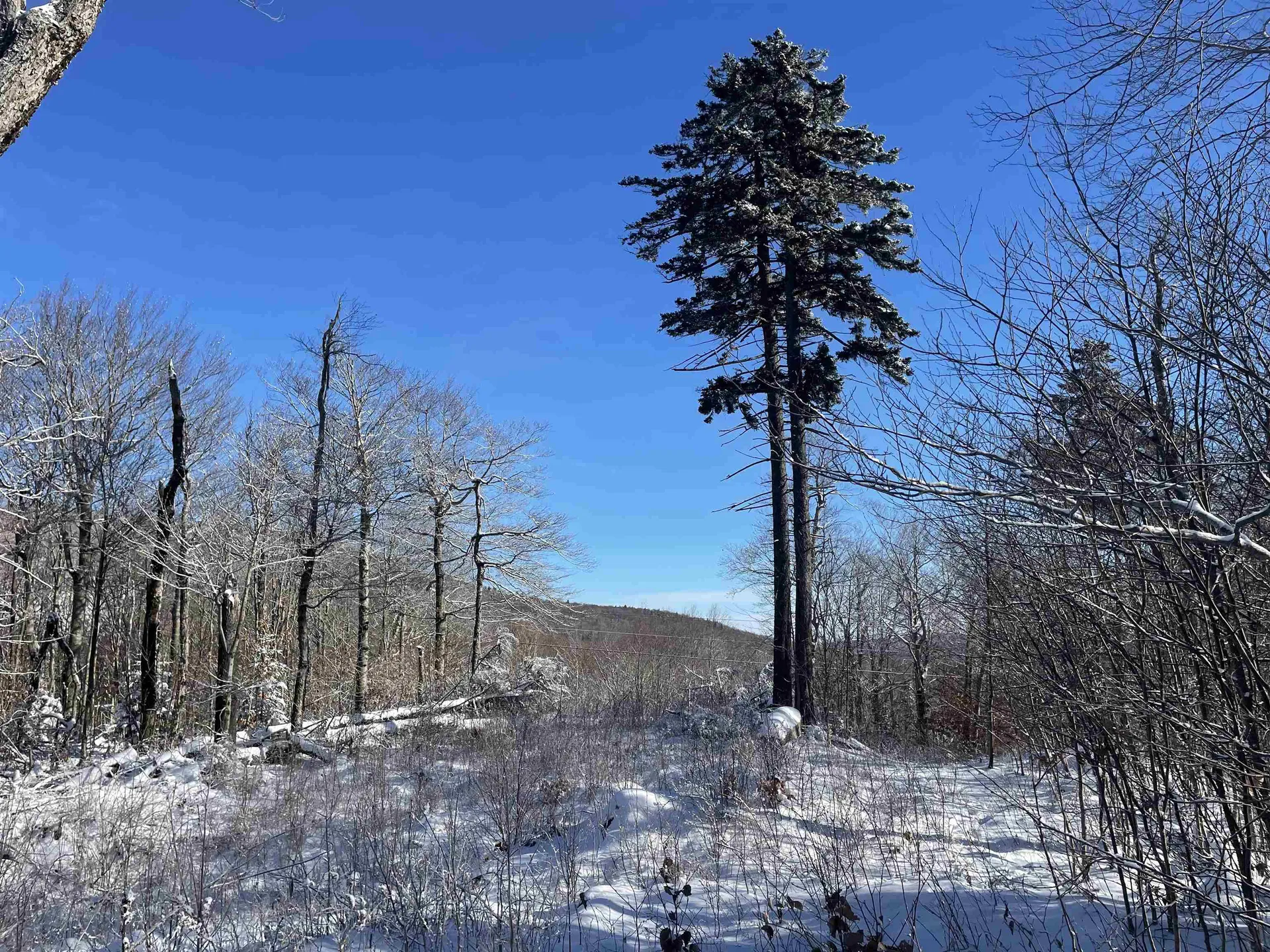 1500 Andover Ridge Road Andover VT 05143