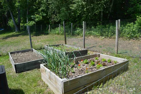 61 Manley Road Milton VT 05468