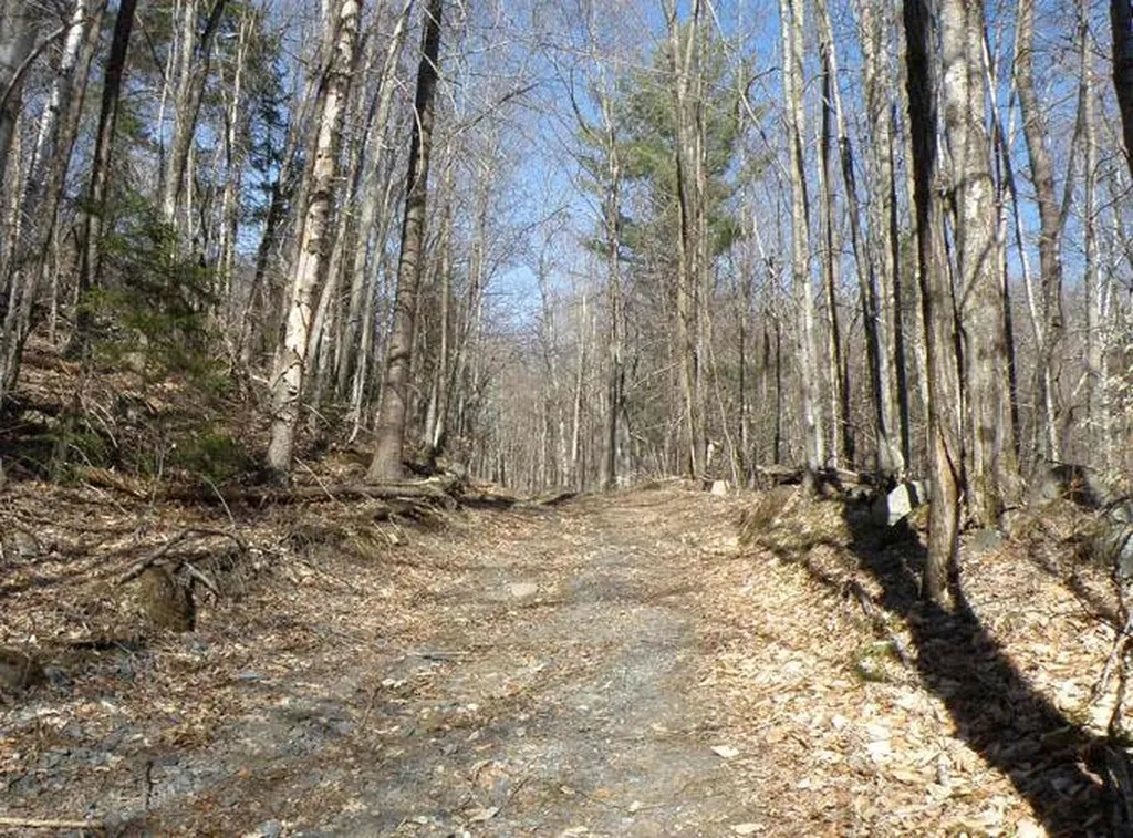 0 Peterson Road Topsham VT 05086