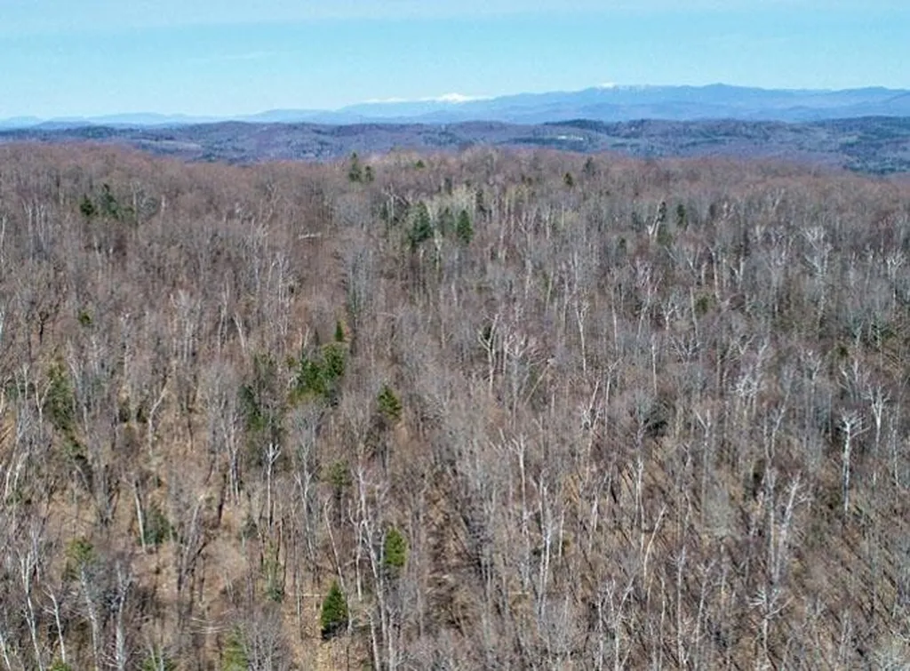 0 Peterson Road Topsham VT 05086