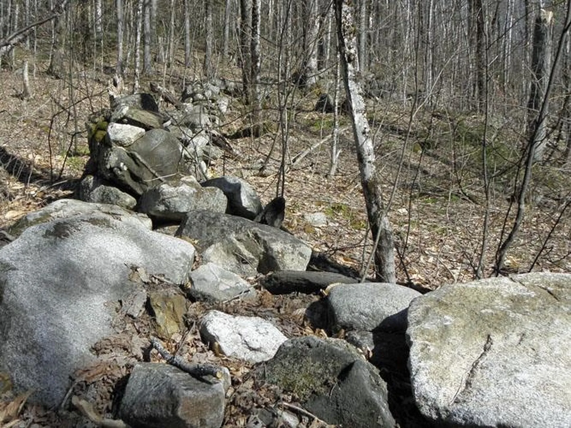 0 Peterson Road Topsham VT 05086
