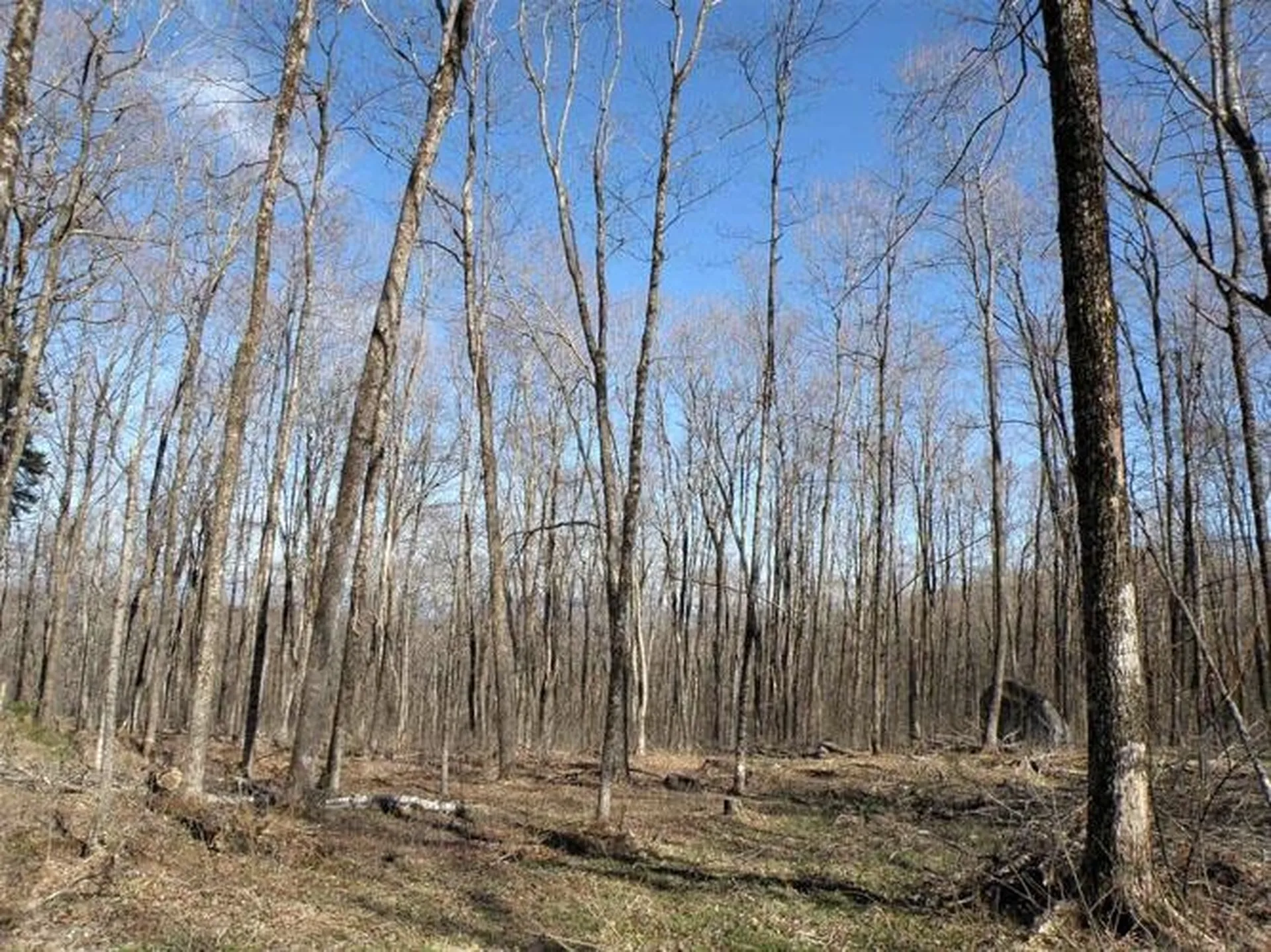 0 Peterson Road Topsham VT 05086