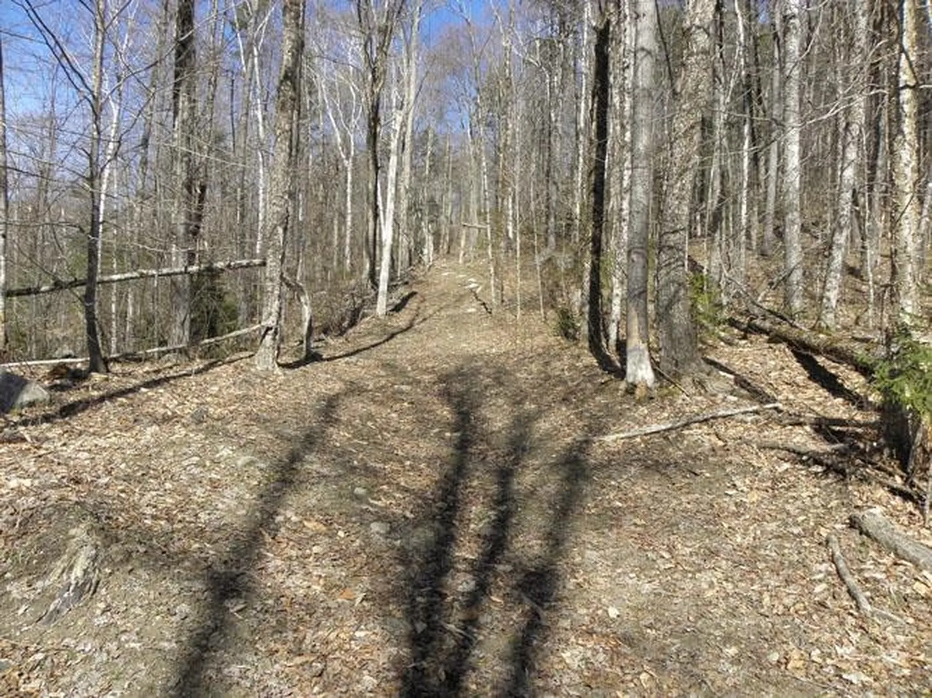 0 Peterson Road Topsham VT 05086