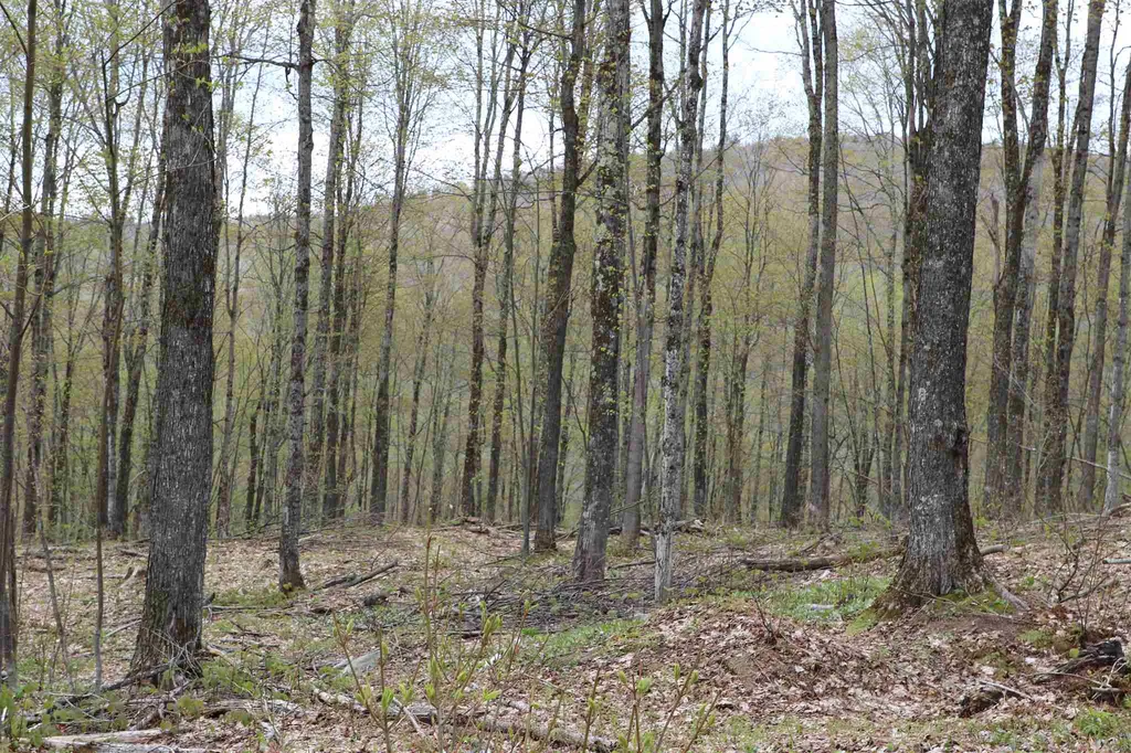 0 Chateauguay Road Barnard VT 05031