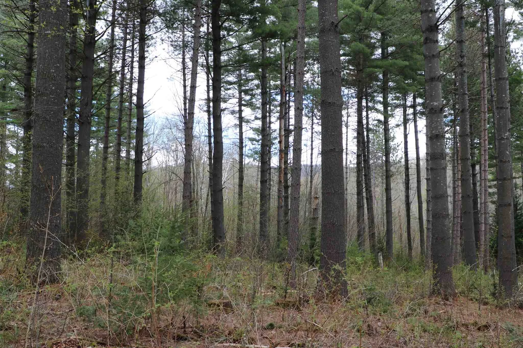 0 Chateauguay Road Barnard VT 05031