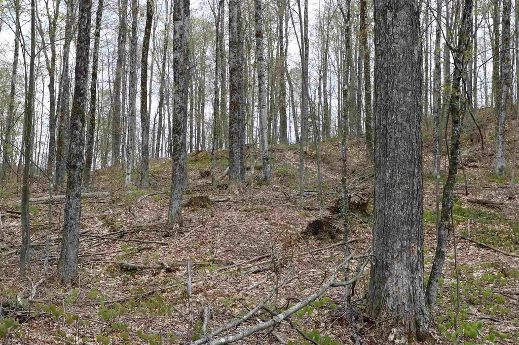 0 Chateauguay Road Barnard VT 05031