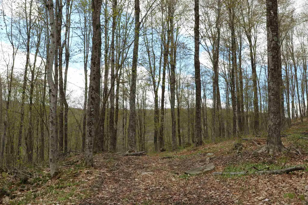 0 Chateauguay Road Barnard VT 05031