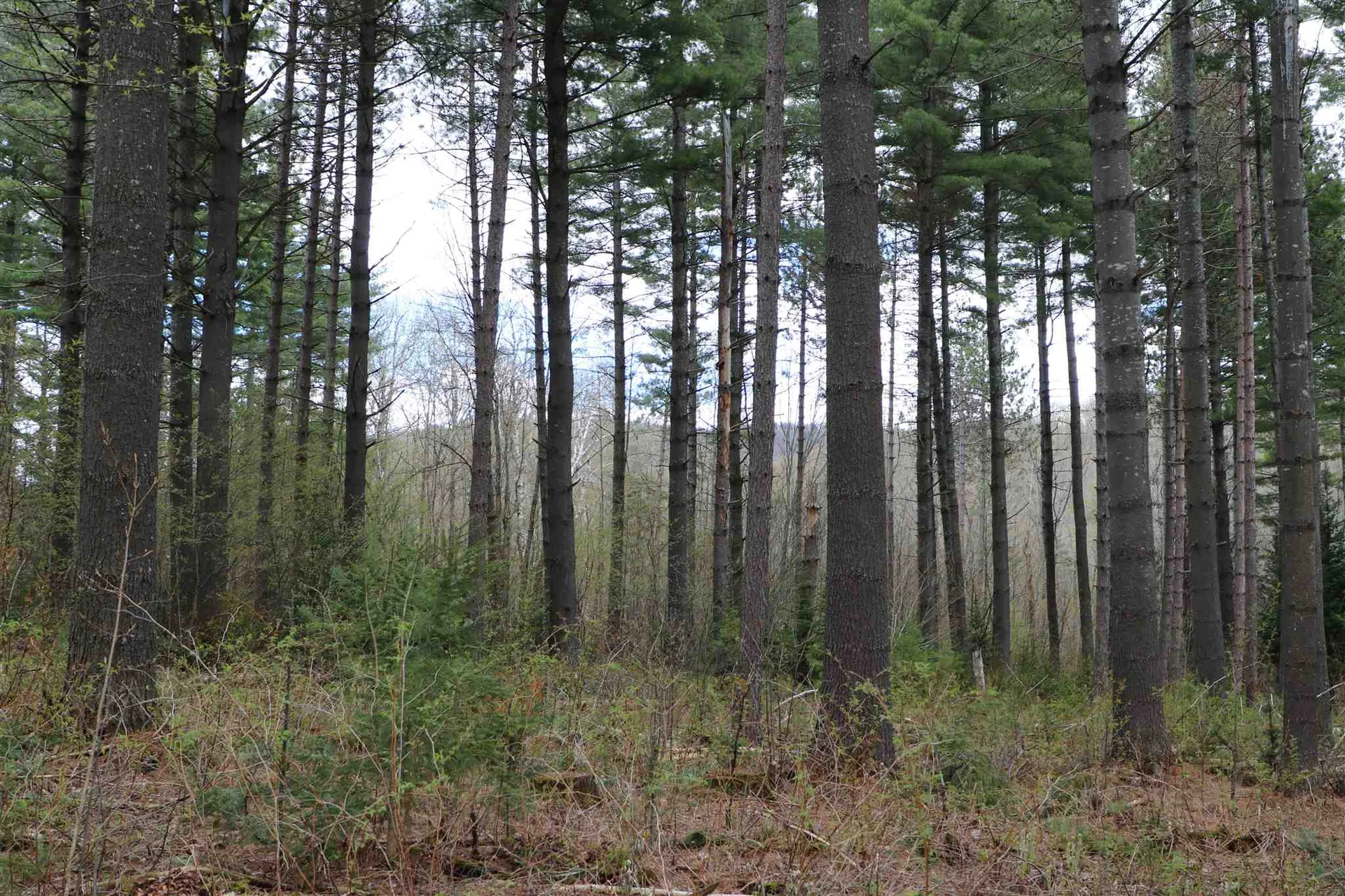 0 Chateauguay Road Barnard VT 05031