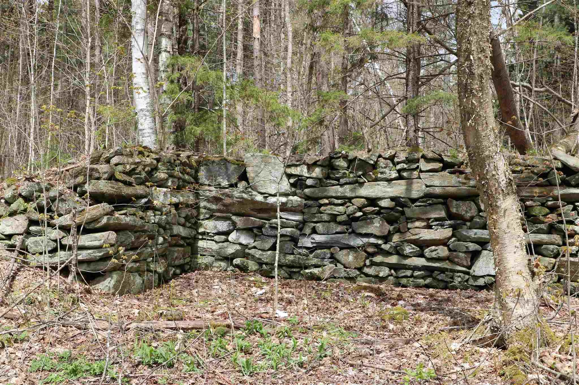 0 Chateauguay Road Barnard VT 05031