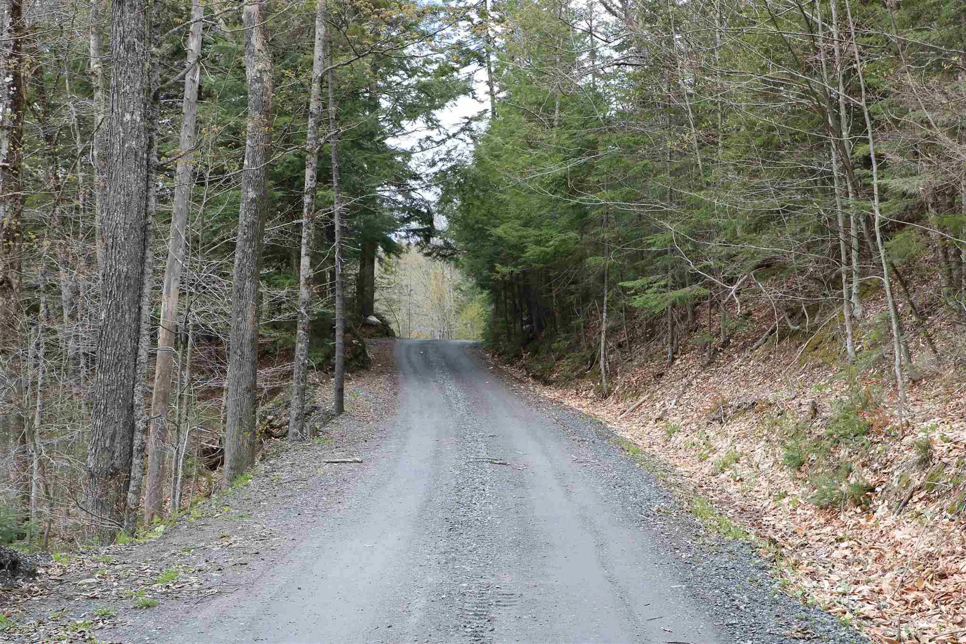0 Chateauguay Road Barnard VT 05031