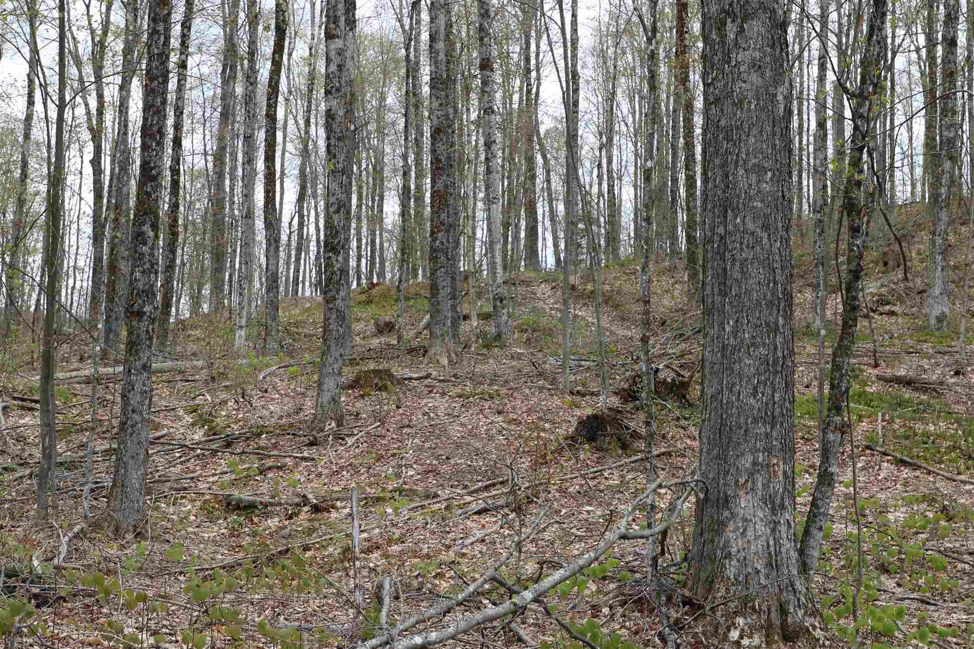 0 Chateauguay Road Barnard VT 05031
