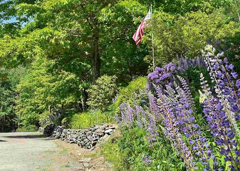 791 Town Forest Road Barnet VT 05821