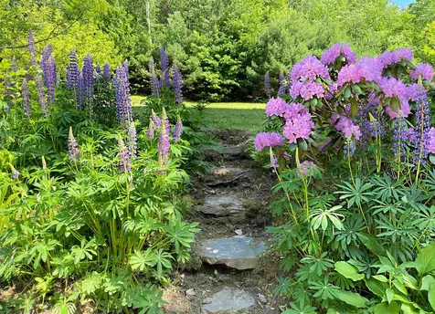 791 Town Forest Road Barnet VT 05821