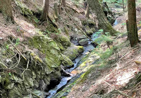 791 Town Forest Road Barnet VT 05821