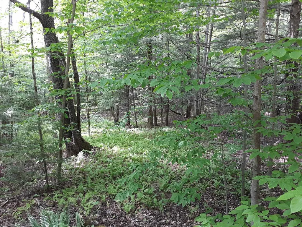 0 Andrea Drive Stamford VT 05352