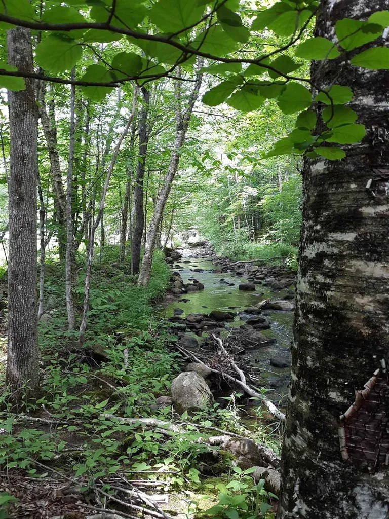 0 Andrea Drive Stamford VT 05352