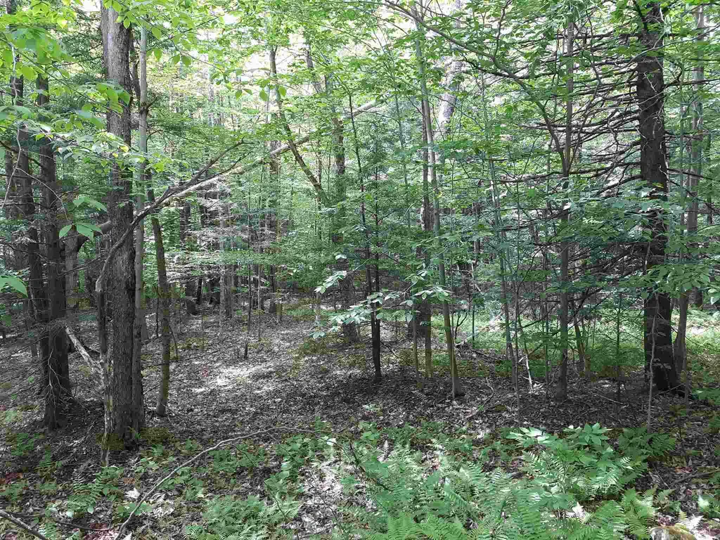 0 Andrea Drive Stamford VT 05352