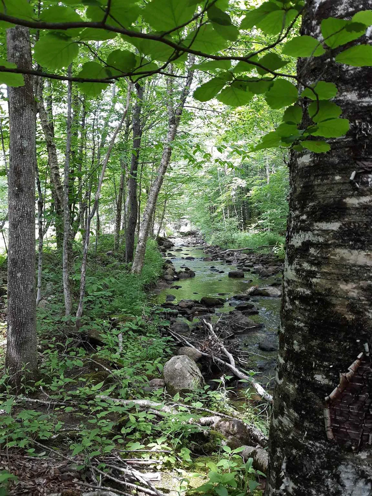0 Andrea Drive Stamford VT 05352