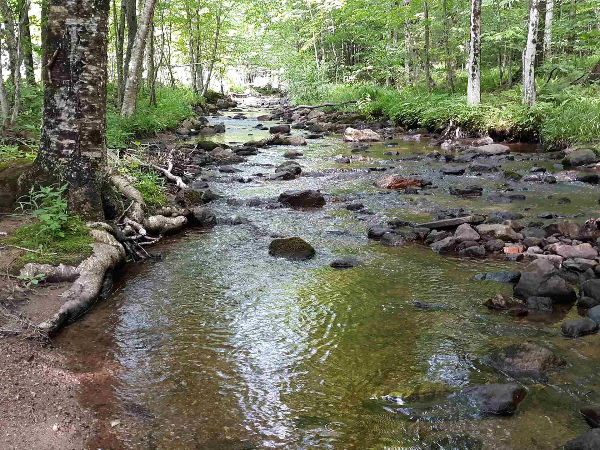 0 Andrea Drive Stamford VT 05352