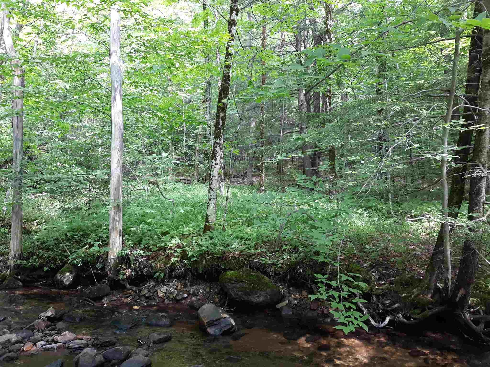 0 Andrea Drive Stamford VT 05352