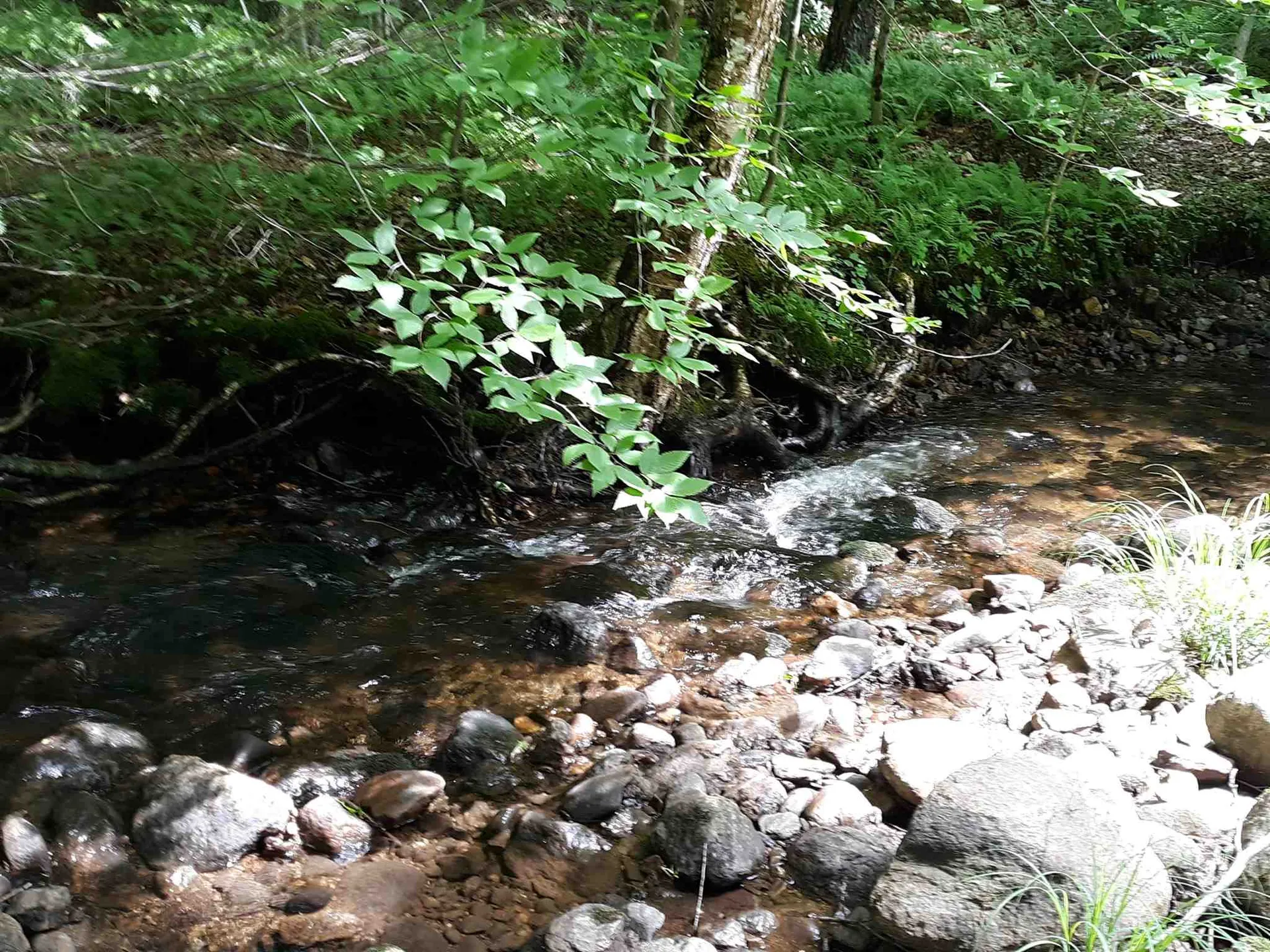 0 Andrea Drive Stamford VT 05352