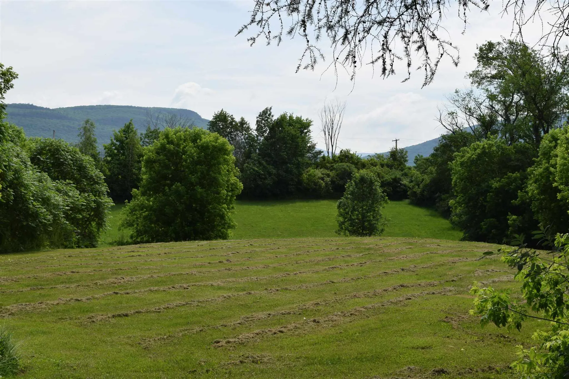 6364 Plank Road New Haven VT 05472
