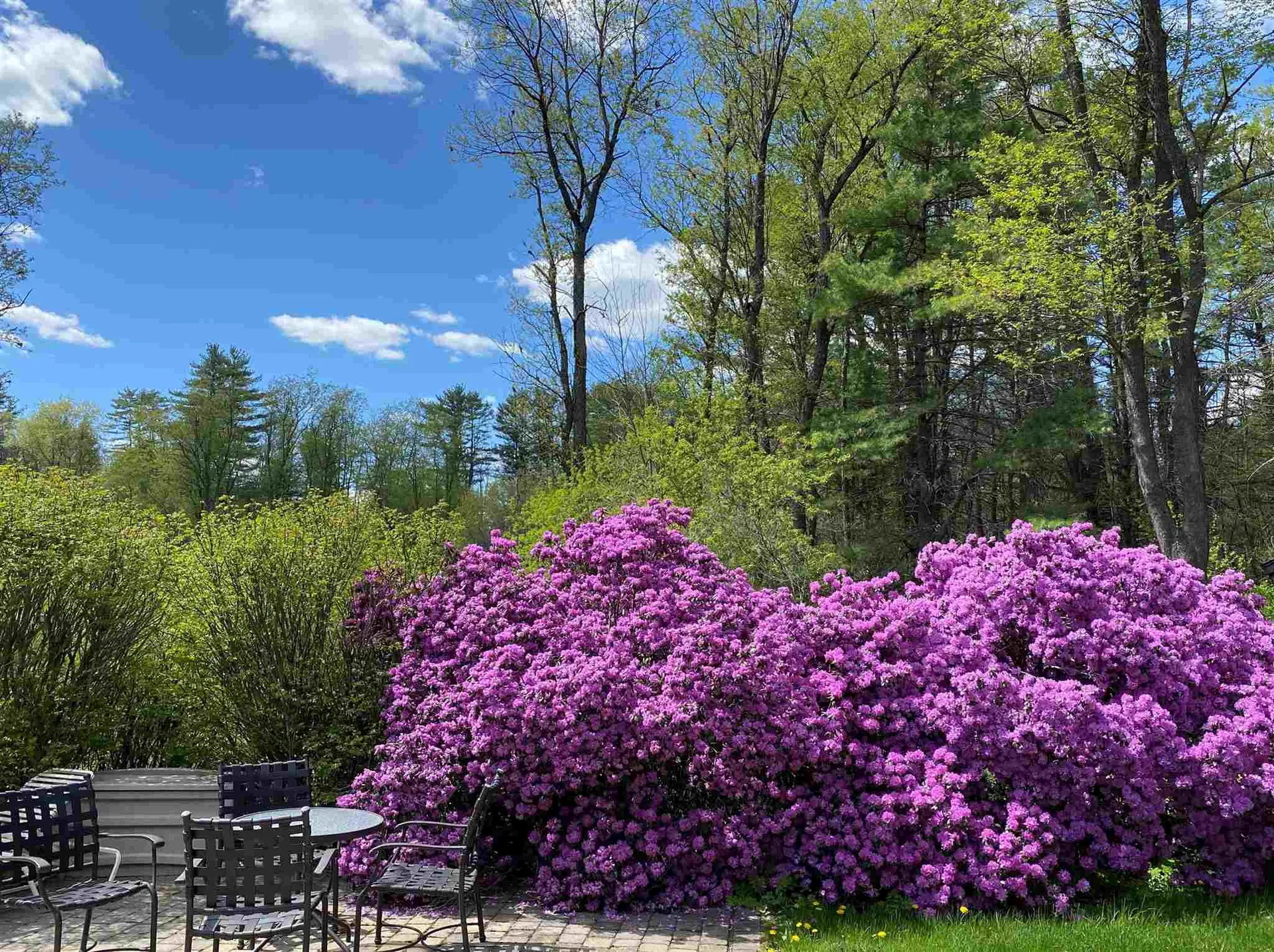 15 Meadow Lane Hanover NH 03755