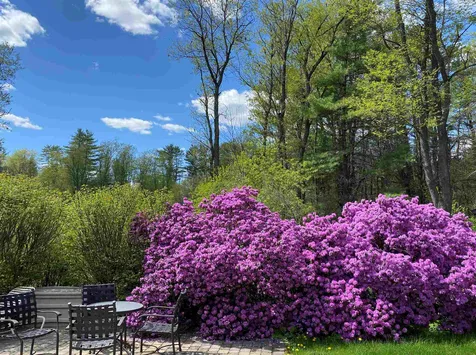 15 Meadow Lane Hanover NH 03755
