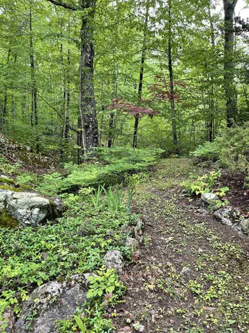 33 Mahala Way Barrington NH 03825