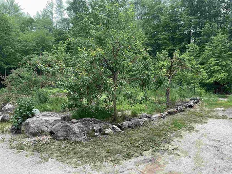 33 Mahala Way Barrington NH 03825