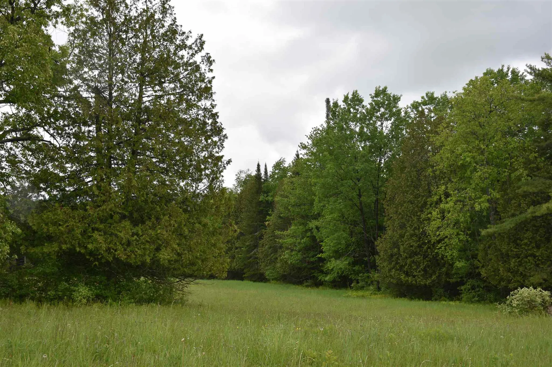 245 Barnes Road East Montpelier VT 05602