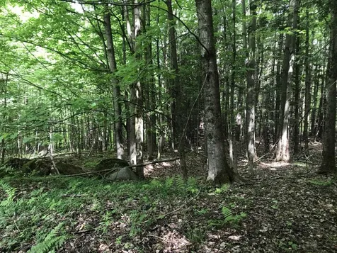 1046 South Richford Road Richford VT 05476
