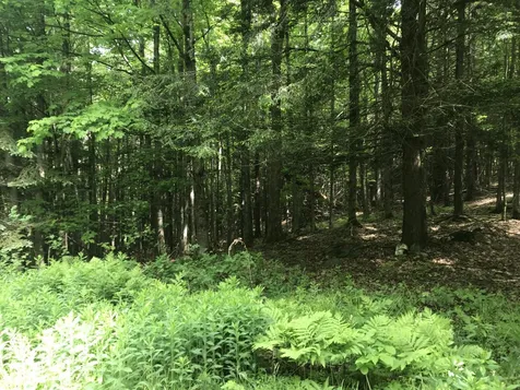 1046 South Richford Road Richford VT 05476