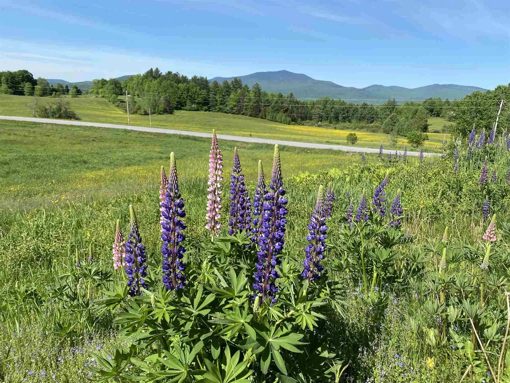 40 Whiteface Drive Hyde Park VT 05655