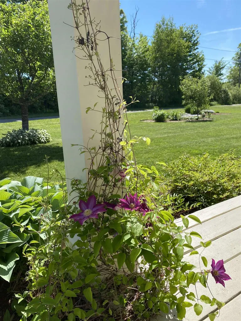 40 Whiteface Drive Hyde Park VT 05655