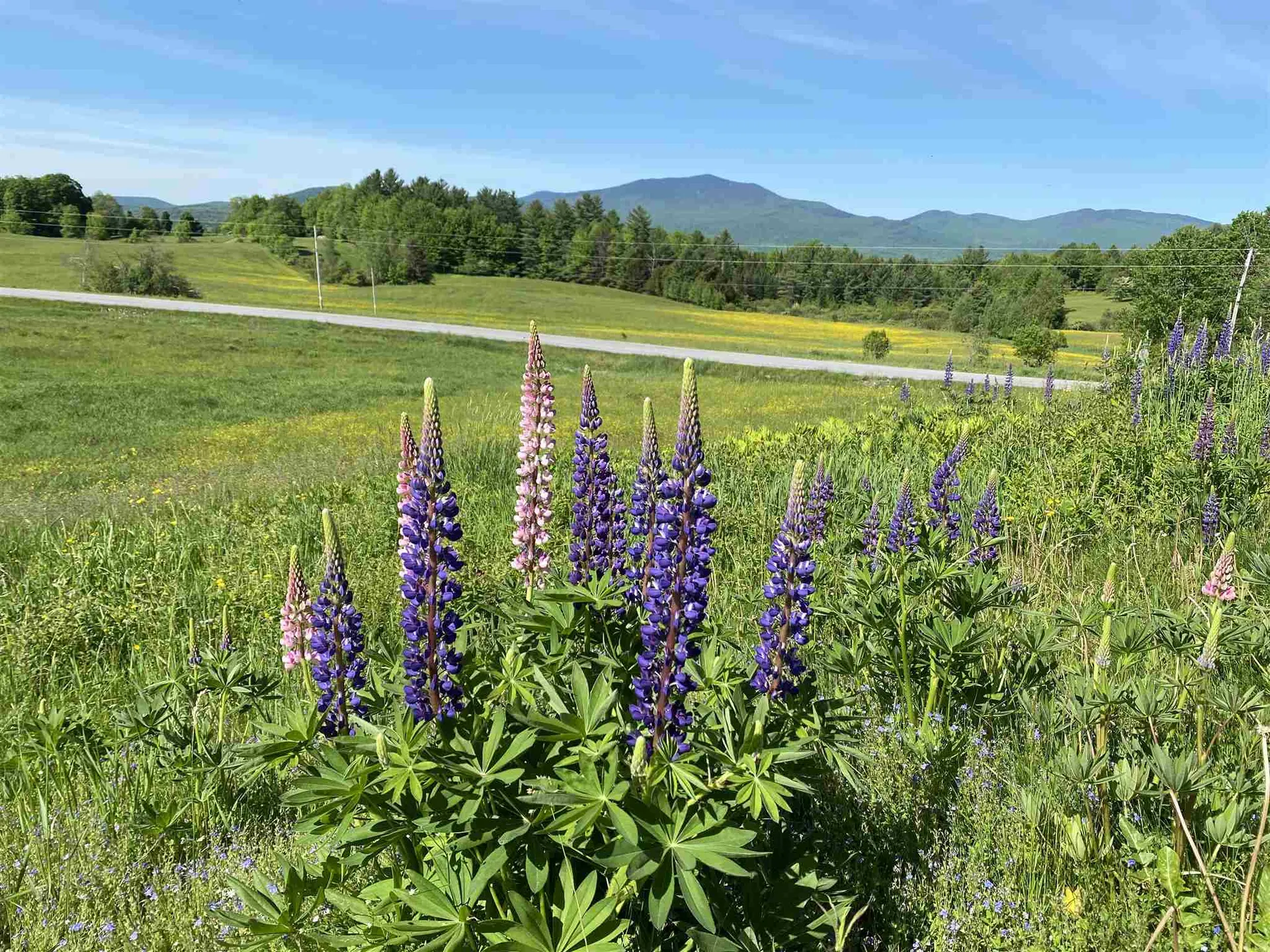 40 Whiteface Drive Hyde Park VT 05655