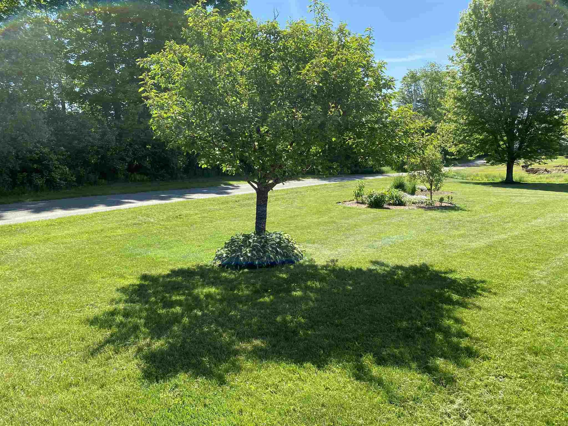 40 Whiteface Drive Hyde Park VT 05655