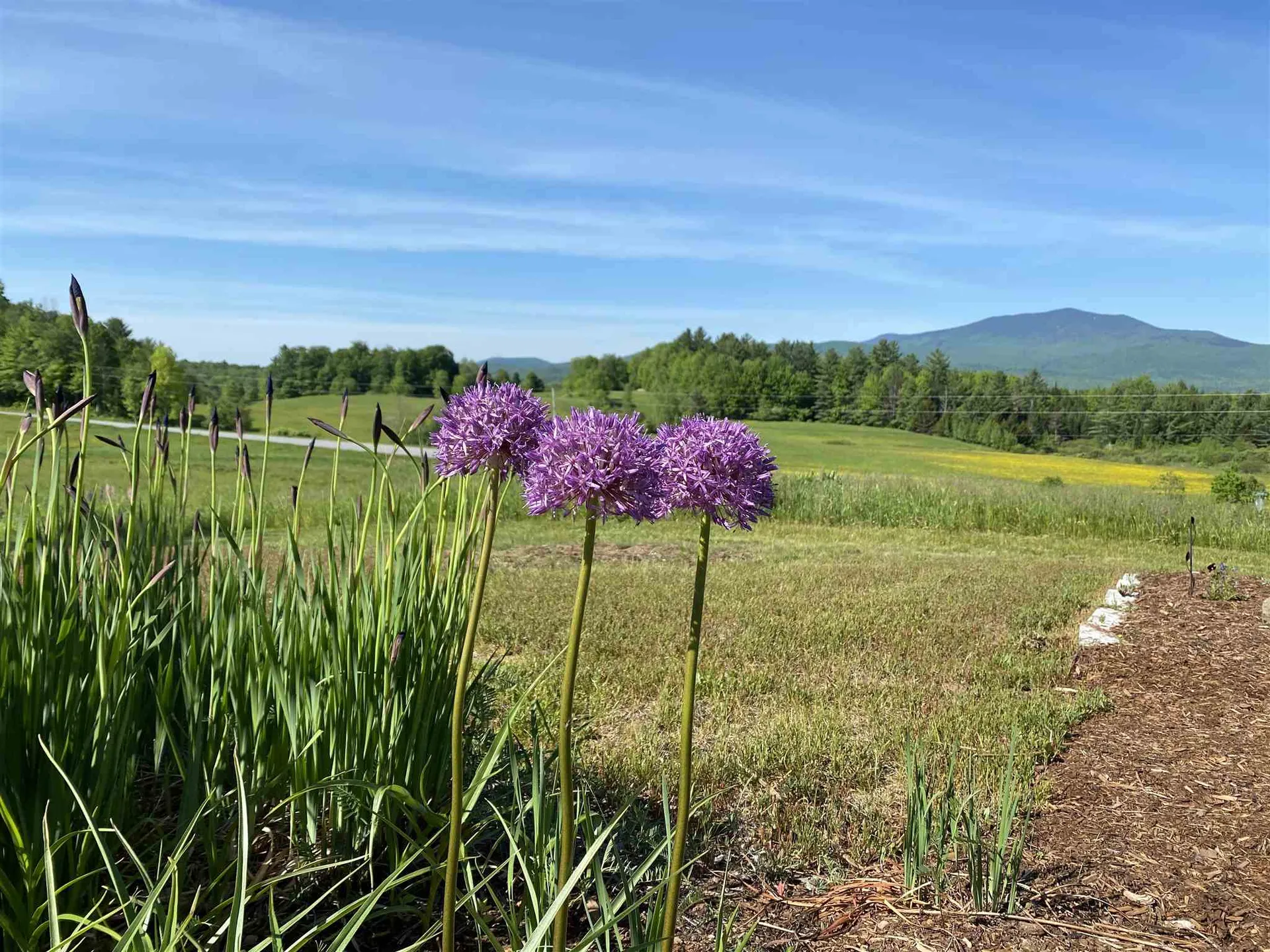 40 Whiteface Drive Hyde Park VT 05655