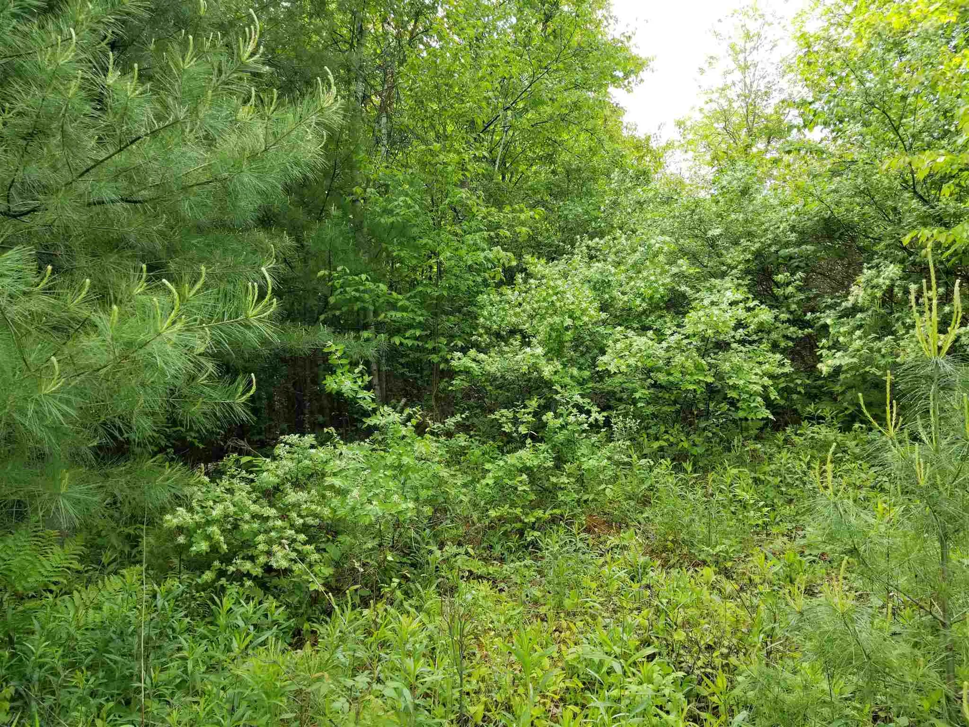 Route 132 Thetford VT 05075