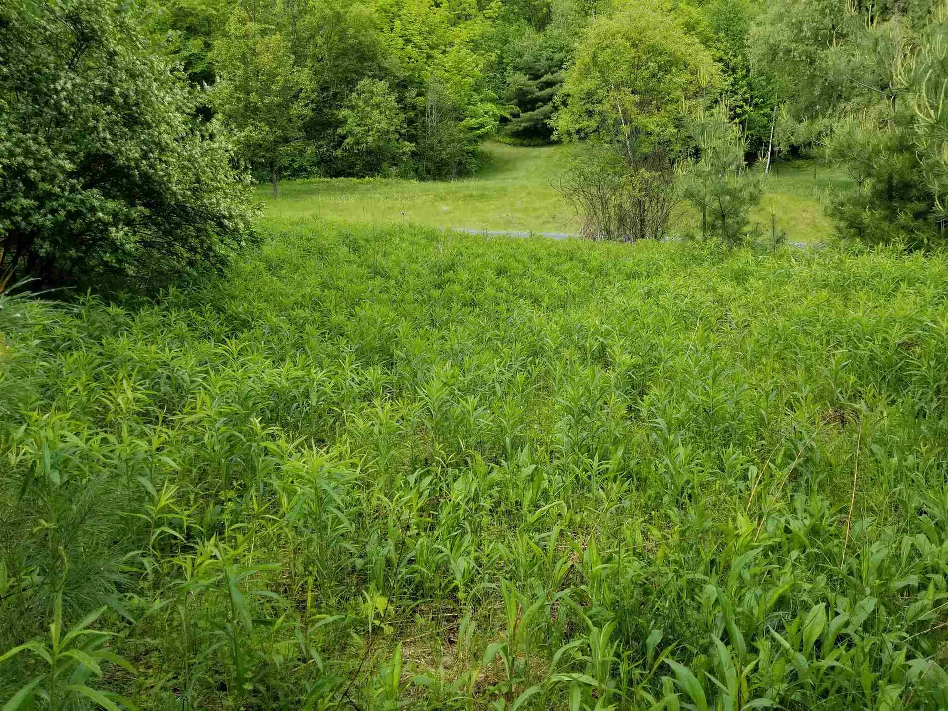Route 132 Thetford VT 05075