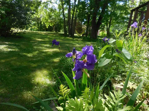 219 Grant Road Newmarket NH 03857