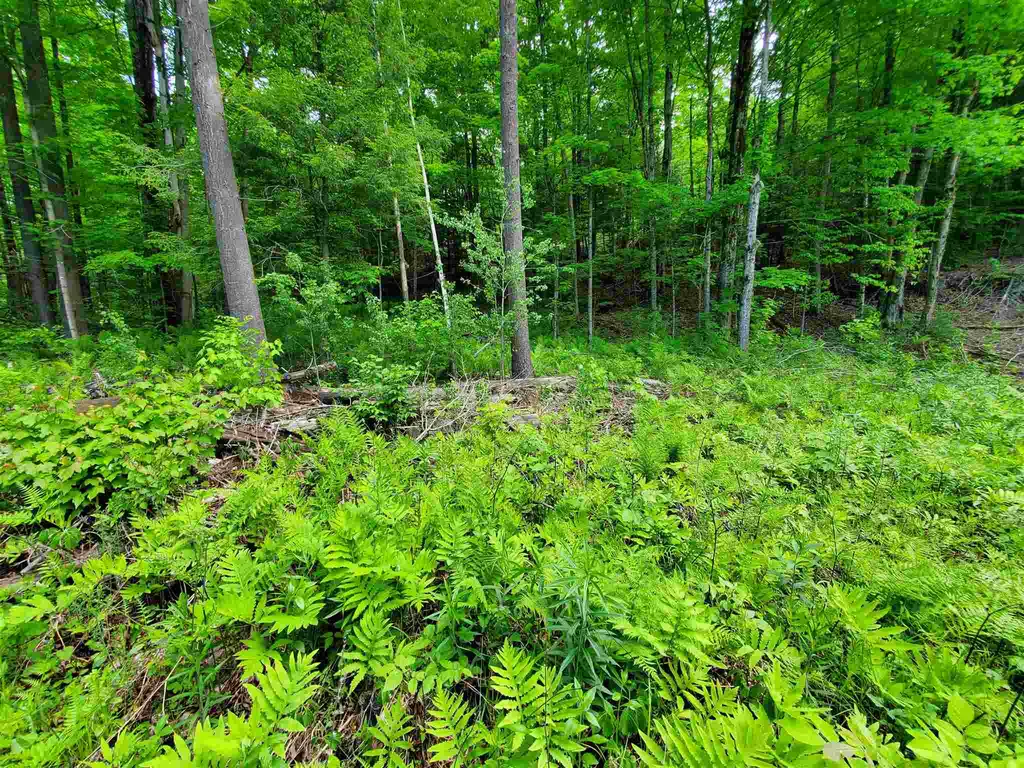 00 River Road Troy VT 05859