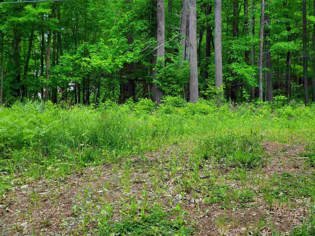 00 River Road Troy VT 05859