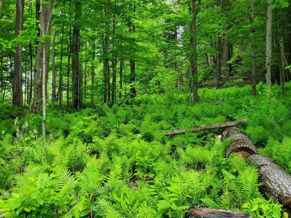 00 River Road Troy VT 05859