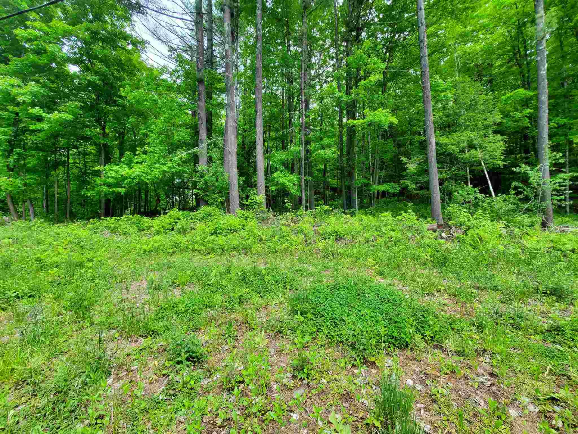 00 River Road Troy VT 05859